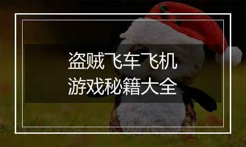 盗贼飞车飞机游戏秘籍大全