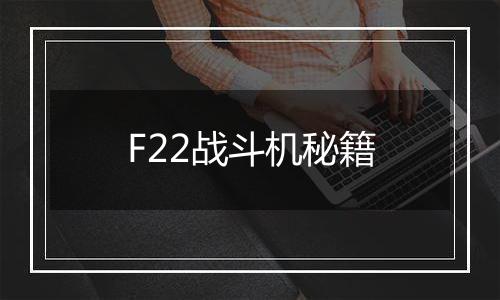 F22战斗机秘籍