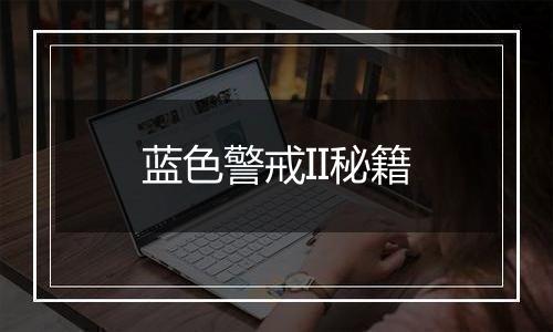 蓝色警戒II秘籍