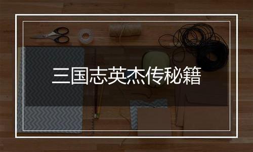 三国志英杰传秘籍