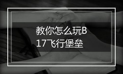 教你怎么玩B17飞行堡垒