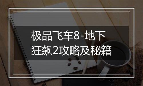 极品飞车8-地下狂飙2攻略及秘籍