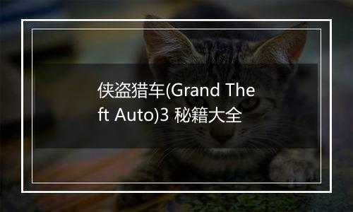 侠盗猎车(Grand Theft Auto)3 秘籍大全