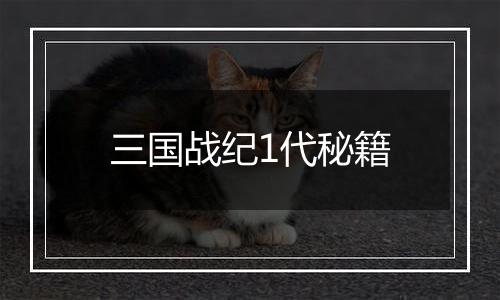 三国战纪1代秘籍