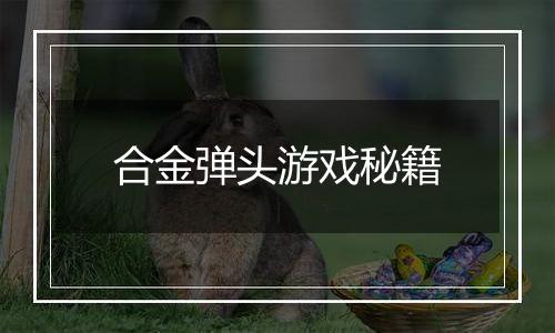 合金弹头游戏秘籍