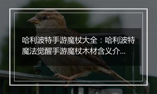 哈利波特手游魔杖大全：哈利波特魔法觉醒手游魔杖木材含义介绍(二)
