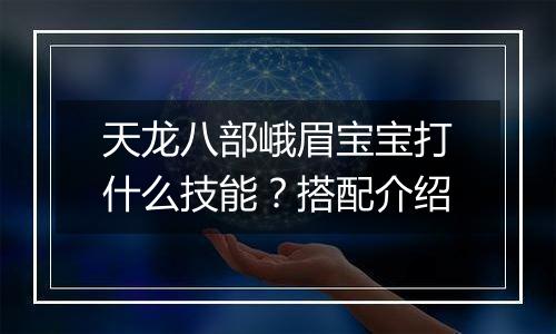 天龙八部峨眉宝宝打什么技能？搭配介绍