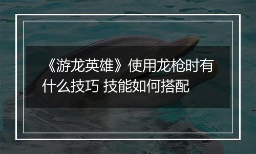 《游龙英雄》使用龙枪时有什么技巧 技能如何搭配