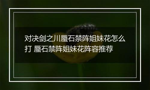 对决剑之川蜃石禁阵姐妹花怎么打 蜃石禁阵姐妹花阵容推荐