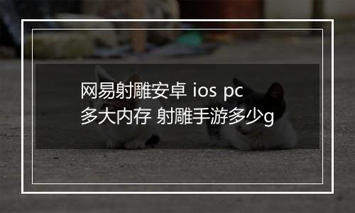 网易射雕安卓 ios pc多大内存 射雕手游多少g