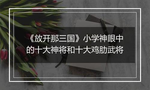 《放开那三国》小学神眼中的十大神将和十大鸡肋武将