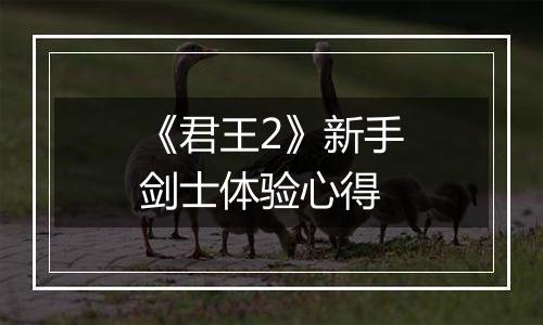 《君王2》新手剑士体验心得