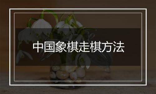 中国象棋走棋方法