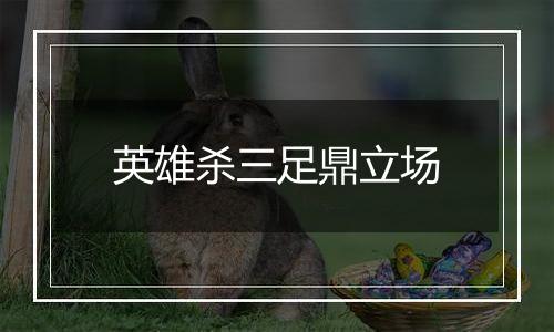 英雄杀三足鼎立场