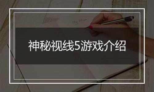 神秘视线5游戏介绍
