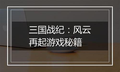 三国战纪：风云再起游戏秘籍