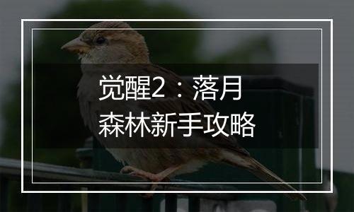 觉醒2：落月森林新手攻略