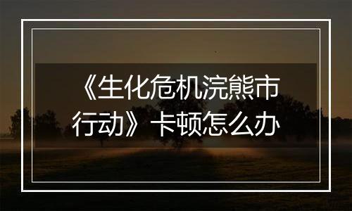 《生化危机浣熊市行动》卡顿怎么办