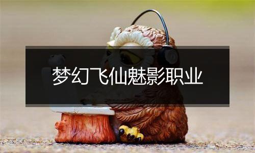 梦幻飞仙魅影职业