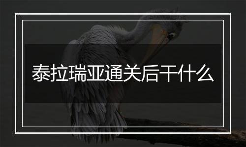 泰拉瑞亚通关后干什么