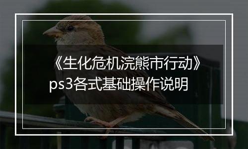 《生化危机浣熊市行动》ps3各式基础操作说明