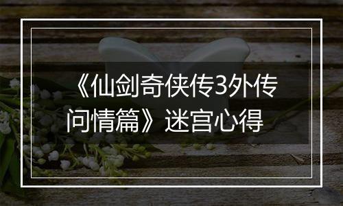 《仙剑奇侠传3外传问情篇》迷宫心得