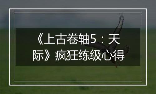 《上古卷轴5：天际》疯狂练级心得