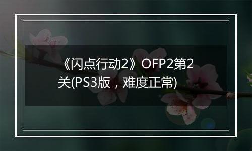 《闪点行动2》OFP2第2关(PS3版，难度正常)