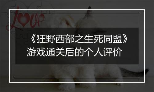 《狂野西部之生死同盟》游戏通关后的个人评价