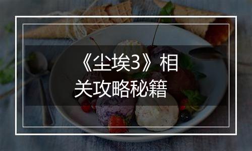 《尘埃3》相关攻略秘籍