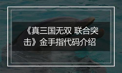 《真三国无双 联合突击》金手指代码介绍