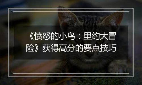 《愤怒的小鸟：里约大冒险》获得高分的要点技巧