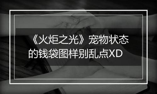 《火炬之光》宠物状态的钱袋图样别乱点XD