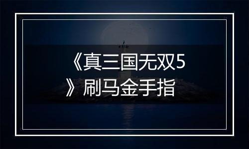 《真三国无双5》刷马金手指