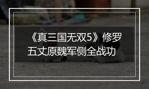 《真三国无双5》修罗五丈原魏军侧全战功