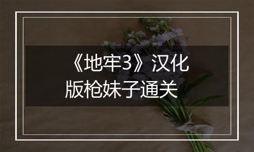 《地牢3》汉化版枪妹子通关