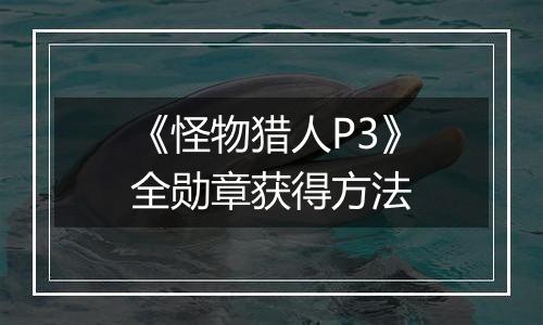 《怪物猎人P3》全勋章获得方法