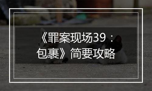 《罪案现场39：包裹》简要攻略