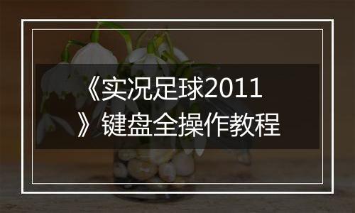 《实况足球2011》键盘全操作教程