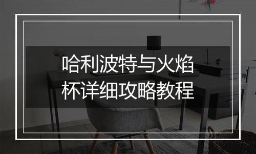 哈利波特与火焰杯详细攻略教程