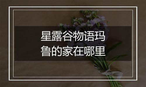 星露谷物语玛鲁的家在哪里