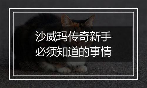 沙威玛传奇新手必须知道的事情