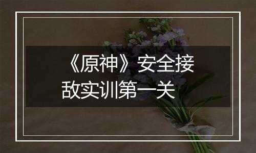 《原神》安全接敌实训第一关