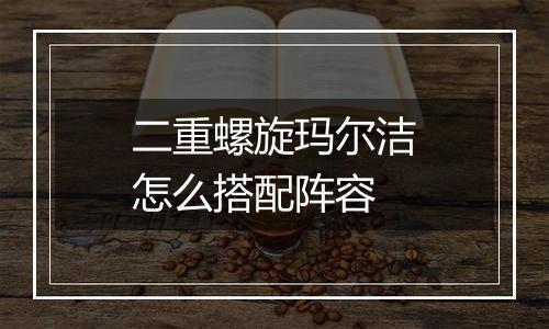 二重螺旋玛尔洁怎么搭配阵容