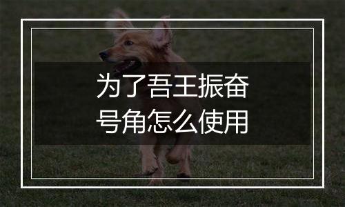 为了吾王振奋号角怎么使用
