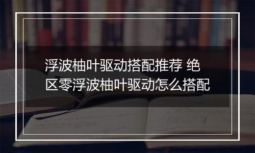 浮波柚叶驱动搭配推荐 绝区零浮波柚叶驱动怎么搭配