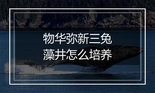 物华弥新三兔藻井怎么培养