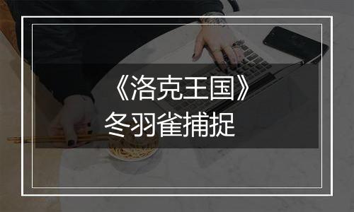 《洛克王国》冬羽雀捕捉