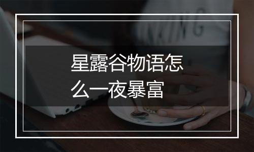 星露谷物语怎么一夜暴富