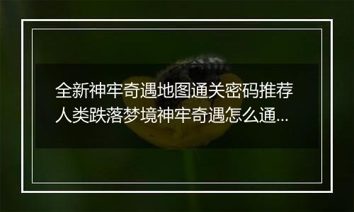 全新神牢奇遇地图通关密码推荐 人类跌落梦境神牢奇遇怎么通关